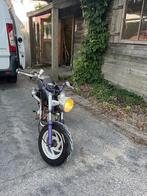 Dax monky, Enlèvement, Comme neuf