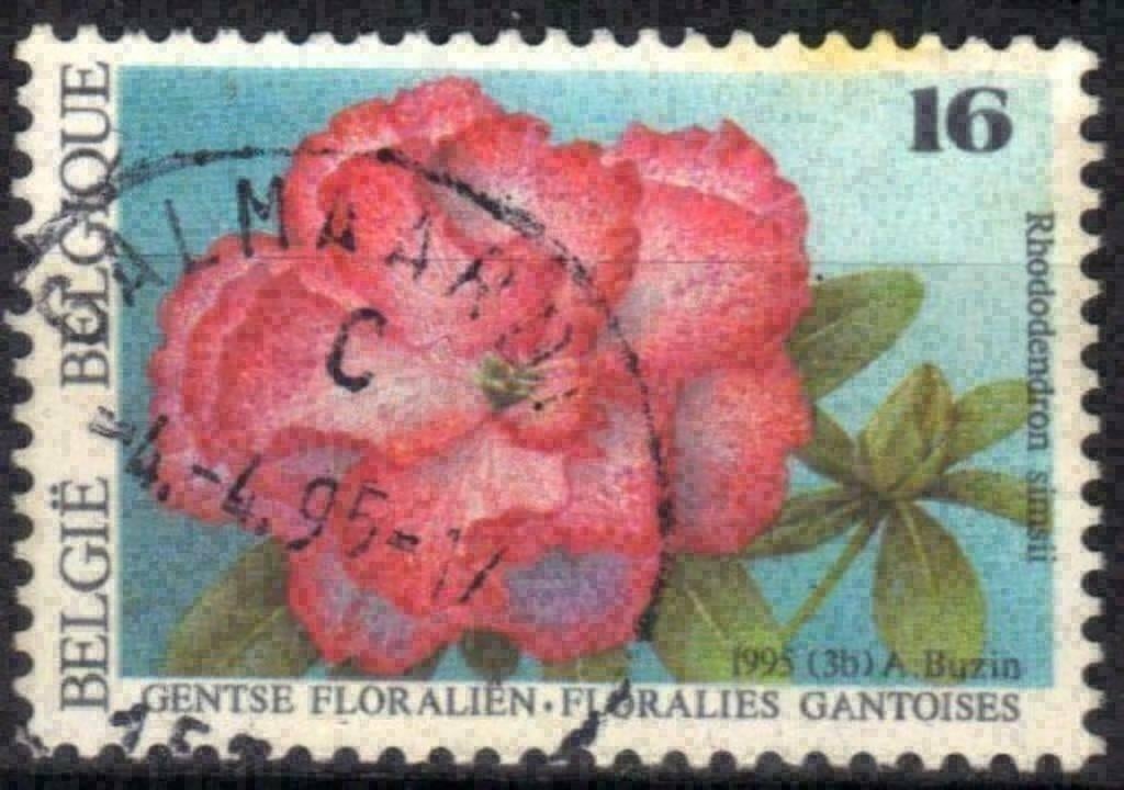 Belgie 1995 - Yvert/OBP 2590 - Gentse Floralien IX (ST), Postzegels en Munten, Verzenden, Gestempeld, Gestempeld