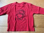 Tintin 4 jaar, Kinderen en Baby's, Kinderkleding | Maat 104, Ophalen, Gebruikt, Shirt of Longsleeve, Jongen