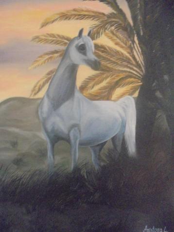 olieschilderij Schimmel paard (50 cm X H 70 cm), Ophalen