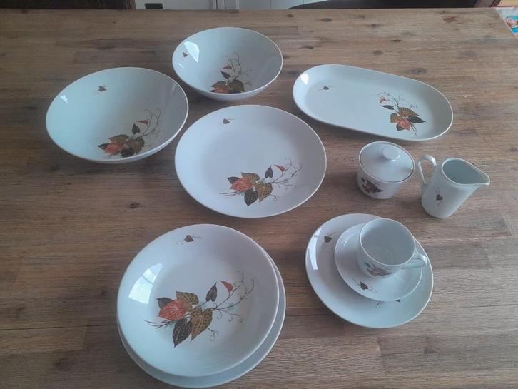 Servies, Huis en Inrichting, Keuken | Servies, Gebruikt, Compleet servies, Ophalen