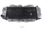 CN250 Spazio 1986 - 2009 Honda Radiator D1-37623