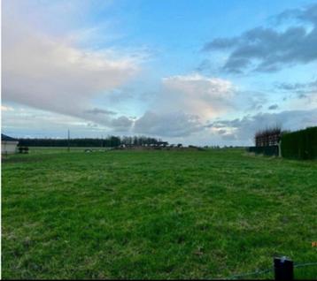Bouwgrond te koop Kruishoutem 1.409m²