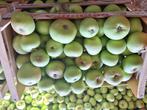 Seizoensfruit hoogstamboomgaard, Ophalen