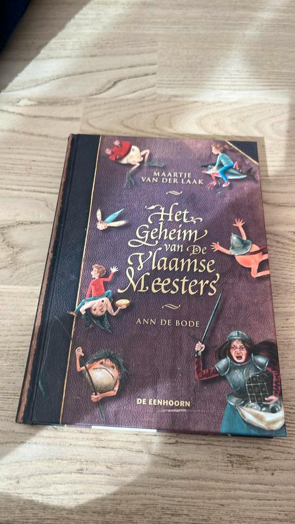 Maartje van der Laak - Het geheim van de Vlaamse Meesters, Boeken, Kinderboeken | Jeugd | 10 tot 12 jaar, Ophalen