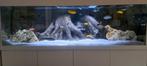 Groot Aquaruim met 3d wand, Gebruikt, Ophalen, Leeg aquarium