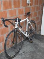 Minerva koers, Enlèvement