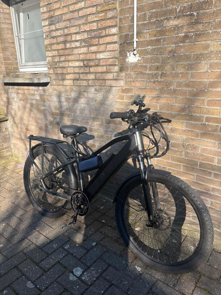 Elektrische fiets, Fietsen en Brommers, Elektrische fietsen, Ophalen