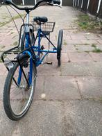 Eko trike 3 wieler, Fietsen en Brommers, Fietsen | Cruisers en Lowriders, Ophalen of Verzenden, Zo goed als nieuw