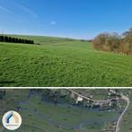 Auby-sur-Semois : ensemble de terrains, plus de 4 hectares., Immo, Bertrix, 1500 m² ou plus