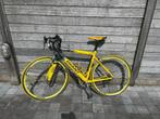 retro GIANT racefiets, Gebruikt, 49 tot 53 cm, Dames, Giant