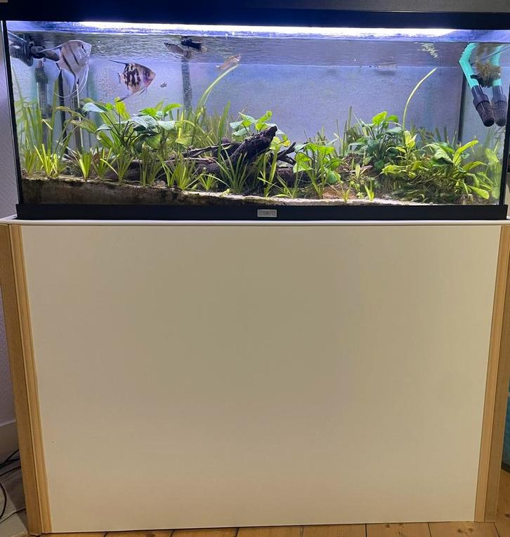 Aquarium Juwel 160L, Dieren en Toebehoren, Vissen | Aquaria en Toebehoren, Gebruikt, Ophalen