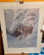 Poster Lynx in besneeuwd landschap, Ophalen