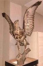 opgezette ruigpootbuizerd (Rough-legged Hawk). , Enlèvement, Comme neuf