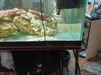 gratis 450 liter aquarium, Dieren en Toebehoren, Ophalen, Gebruikt, Leeg aquarium