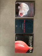 Boeken glaskunst, Boeken, Ophalen of Verzenden, Zo goed als nieuw, Overige onderwerpen