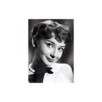Aimant de Réfrigérateur Audrey Hepburn N1, Maison & Meubles, Autres matériaux, Moins de 50 cm, Moins de 50 cm, Envoi