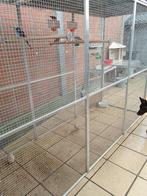 Voleire, Dieren en Toebehoren, Vogels | Hokken en Kooien, Ophalen, Gebruikt, Aluminium, Volière