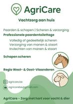 Paarden scheren, Dieren en Toebehoren, Meerdere dieren, Niet van toepassing