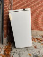Diepvries miele gratis af te halen, Elektronische apparatuur, Vriezers en Diepvrieskisten, Gebruikt, 140 tot 160 cm, Ophalen, Vrieskast
