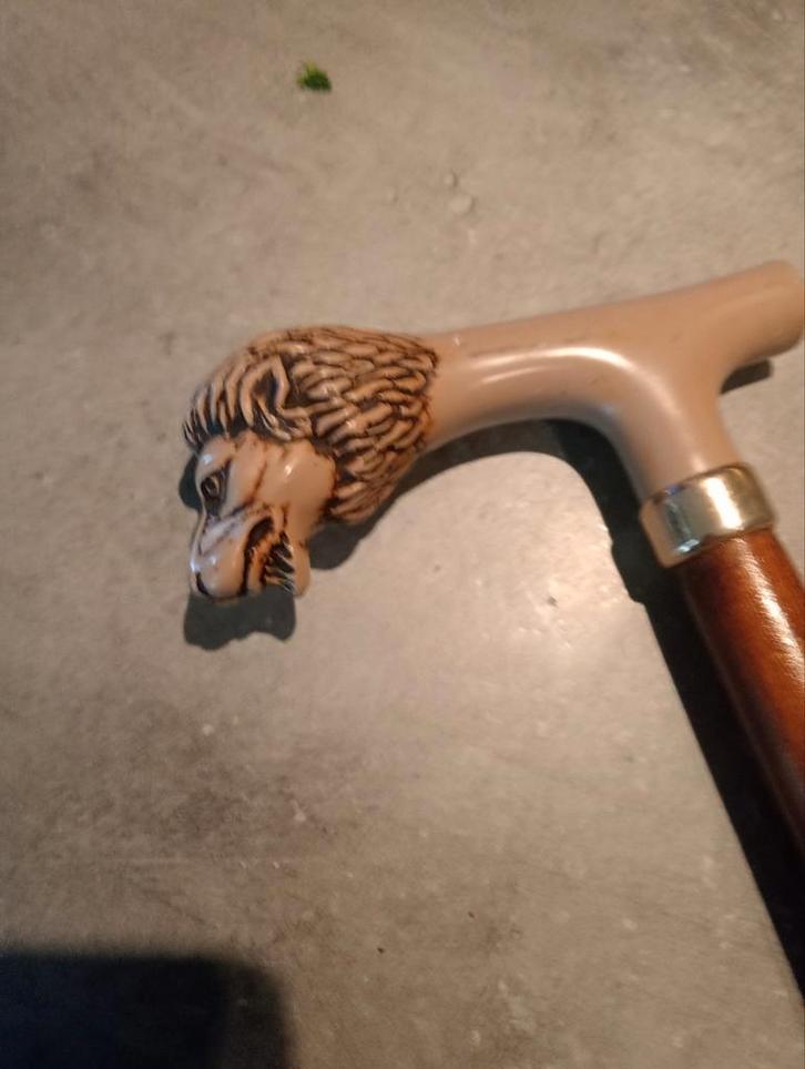 Canne Lion, Divers, Bâtons de marche