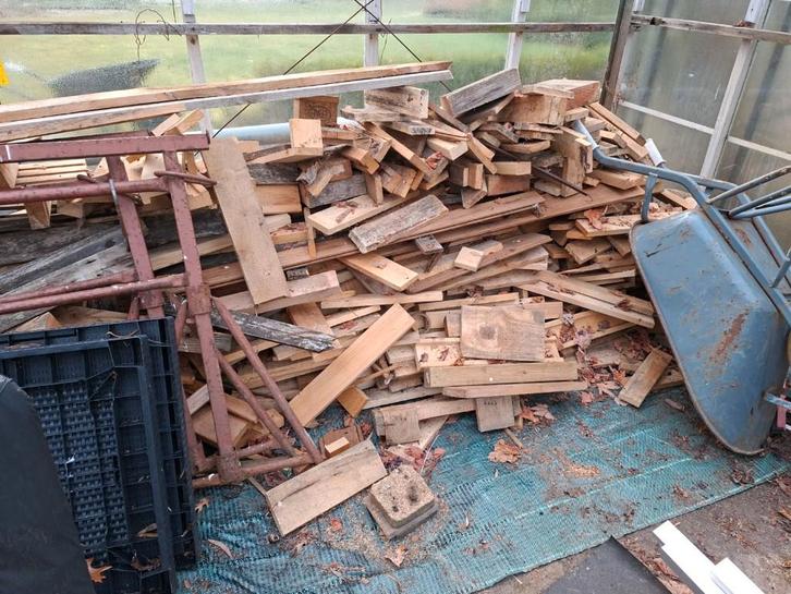 brandhout, Tuin en Terras, Brandhout, Takken, Overige houtsoorten, 6 m³ of meer, Ophalen