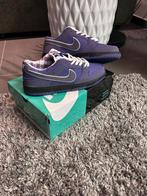 Nike sb dunk low purple lobster, Ophalen of Verzenden, Zo goed als nieuw
