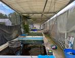 Serre constructie 20m x 4m x 3m, Tuin en Terras, Ophalen, Zo goed als nieuw