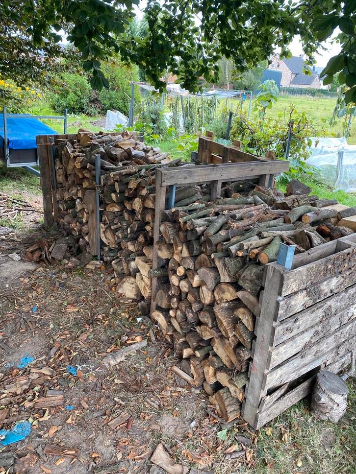 7 kuub brandhout, Tuin en Terras, Brandhout, Blokken, Eikenhout, 6 m³ of meer, Ophalen