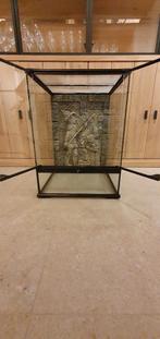 exo terra terrarium 45x45x60, Ophalen, Zo goed als nieuw, Terrarium of Paludarium