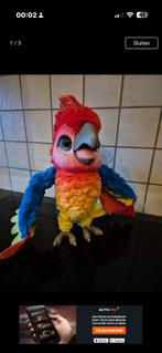 Fureal papegaai (zingt,praat,danst, praat na ), Papegaai