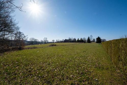 Terrain à vendre à Houffalize, Immo, Terrains & Terrains à bâtir, 1500 m² ou plus