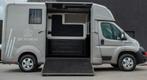 Paardencamionette 2024 (+- 14.500km), Ophalen, Zo goed als nieuw, Overige materialen, 2-paards trailer