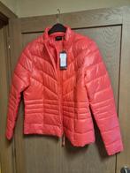 Jas vero moda maat xl nieuw, Neuf, Taille 46/48 (XL) ou plus grande, Enlèvement ou Envoi, Rose