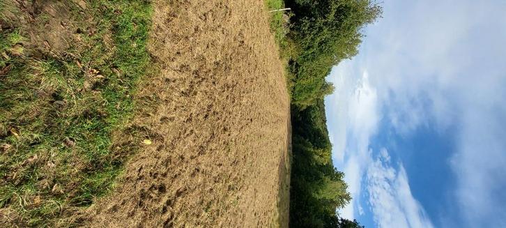 terrain, Immo, Buitenland, Frankrijk, Kavel of Perceel, Landelijk