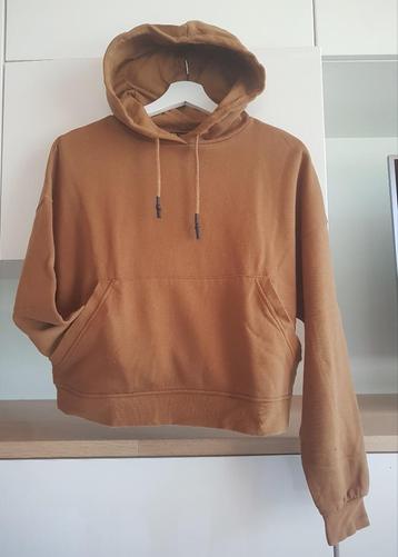 Bruine hoodie (maat: S), Enlèvement ou Envoi, Brun, Porté, Zara