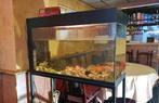 Aquarium met toebehoren 100x60x40, Dieren en Toebehoren, Ophalen, Gebruikt, Gevuld zoetwateraquarium