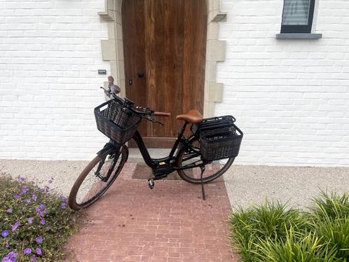 Riese & Müller Swing Vario, Fietsen en Brommers, Fietsen | Dames | Damesfietsen, Gebruikt, Overige merken, Minder dan 47 cm, Ophalen