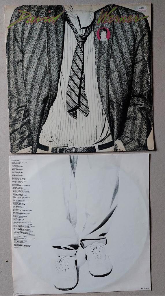 David Werner (1979), CD & DVD, Vinyles | Rock, 12 pouces, Enlèvement ou Envoi