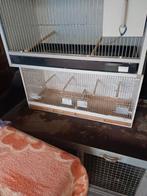 Kweekkooi, Dieren en Toebehoren, Vogels | Hokken en Kooien, Ophalen, Zo goed als nieuw