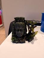 Decoratie aquarium, Enlèvement, Utilisé