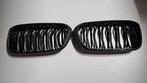 M Performance Grille Carbon zwart BMW 1 serie F20 F21 LCi, Ophalen of Verzenden, Gebruikt, BMW