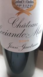 Voor deze die wat van goeie Franse wijn kennen: SOCIANDO 09!, Collections, Vins, Comme neuf, Pleine, France, Enlèvement ou Envoi