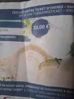 Billet pari daiza 18 euros, Tickets & Billets