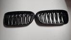 M Performance Grille Carbon zwart BMW 1 serie F20 F21 LCi, Ophalen of Verzenden, Gebruikt, BMW