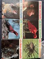 Artis-historia encyclopedie over dieren, Boeken, Encyclopedieën, Ophalen, Dieren