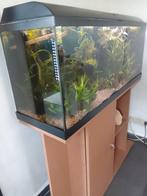 2 aquarium, Dieren en Toebehoren, Ophalen, Zo goed als nieuw