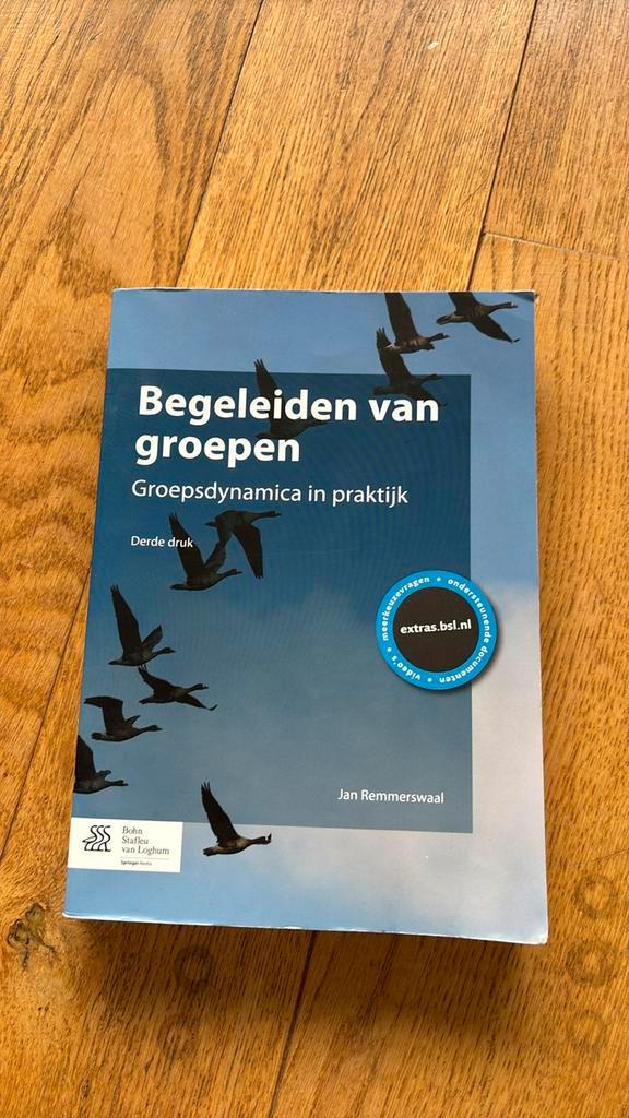 Jan Remmerswaal - Begeleiden van groepen, Boeken, Wetenschap, Zo goed als nieuw, Ophalen