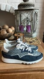 Frolis Van bommel taille 40, Enlèvement ou Envoi, Neuf