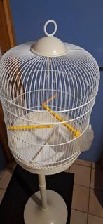 Cage pour oiseaux sur pied, Enlèvement, Utilisé, Métal, Cage à oiseaux